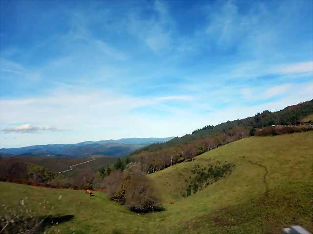 DSCN1453 DSCN1453