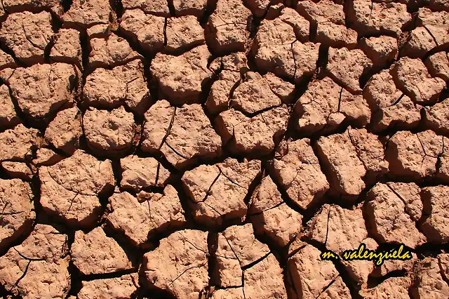 03, como tierra agostada y sin agua, marca