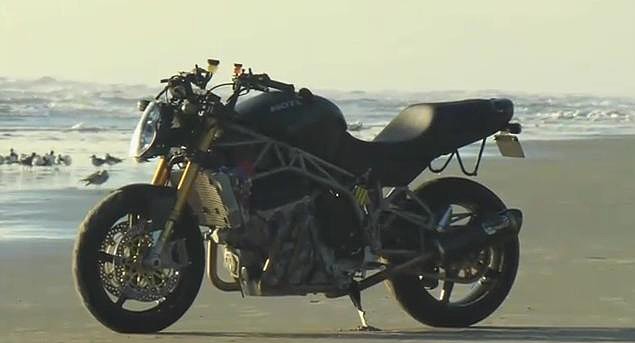 motus-mst-r_01 motus-mst-r_01