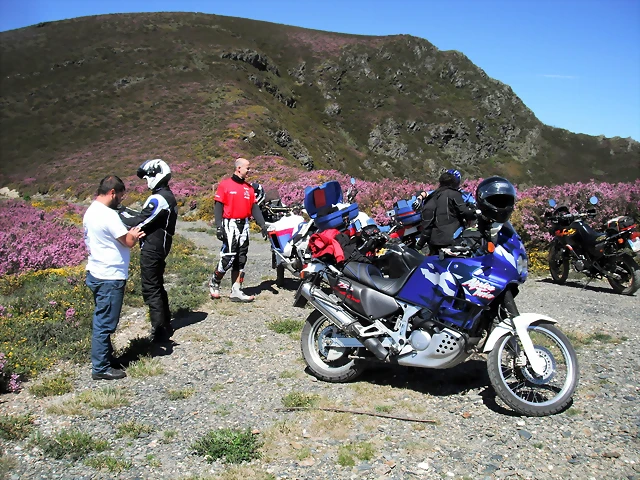 DSCF2531 DSCF2531