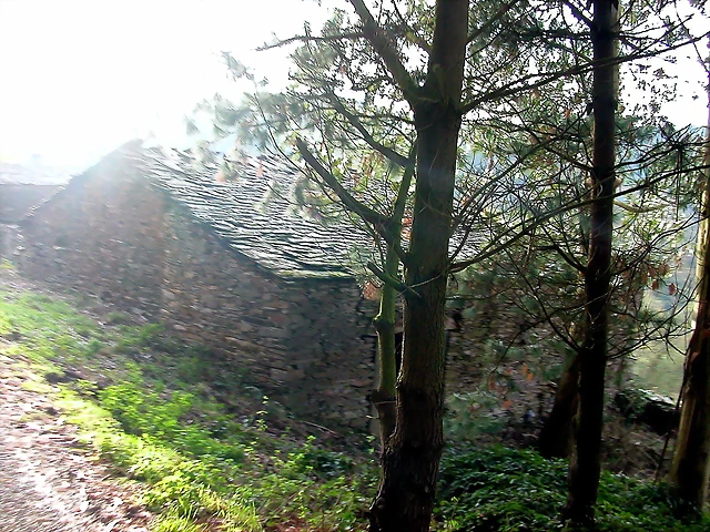 DSCN6257 DSCN6257