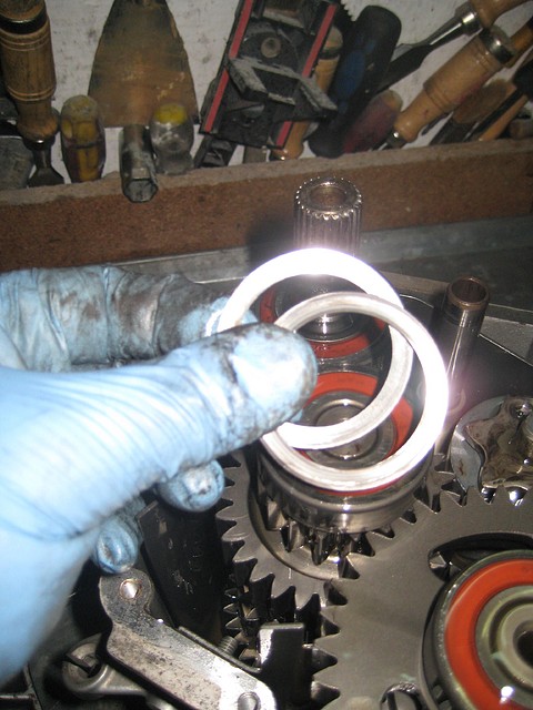 IMG_1655 IMG_1655