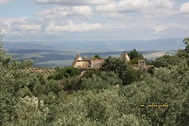 10, viejo cortijo al sol, marca