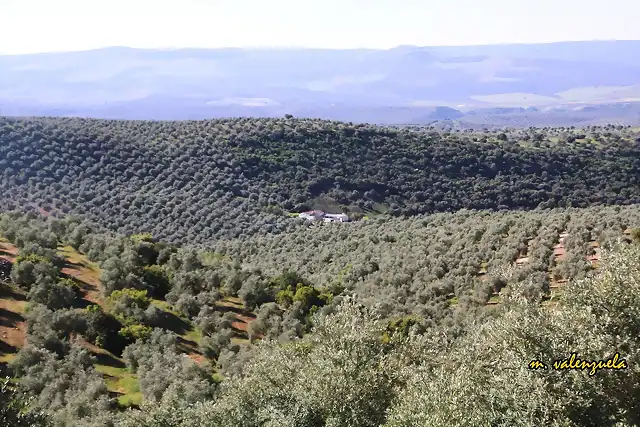 06, cortijo del turco, marca