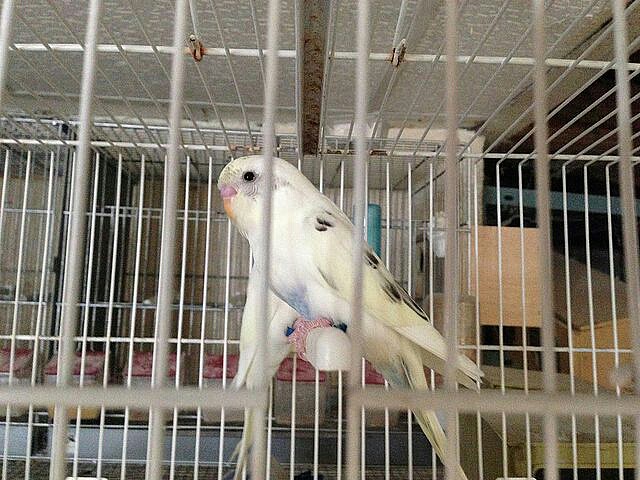 20170606_111249