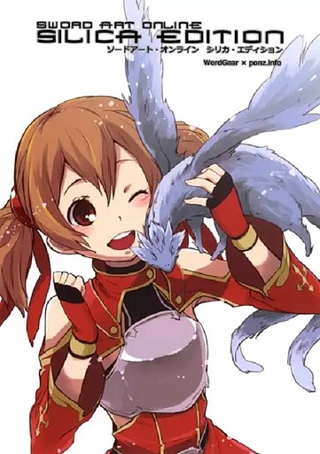 Sword Art Online dj  Silica Edition Doujinshi