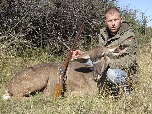 Kudu3resized Kudu3resized
