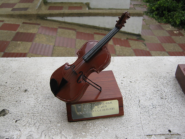 IMG_0528 violin a escala. IMG_0528 violin a escala.