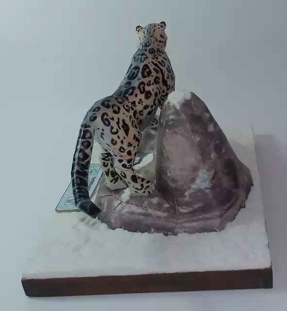 Leopardo de las nieves (3)