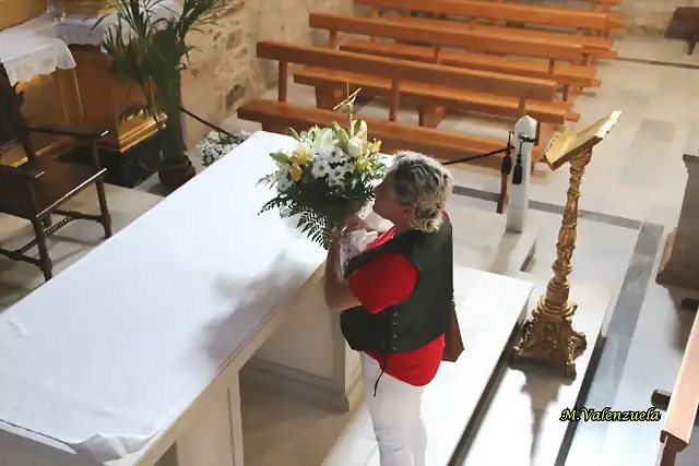 17, ofrenda de flores, marca