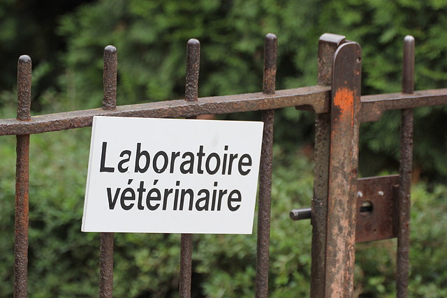 Jardin des plantes 29-10-11 (65) Jardin des plantes 29-10-11 (65)