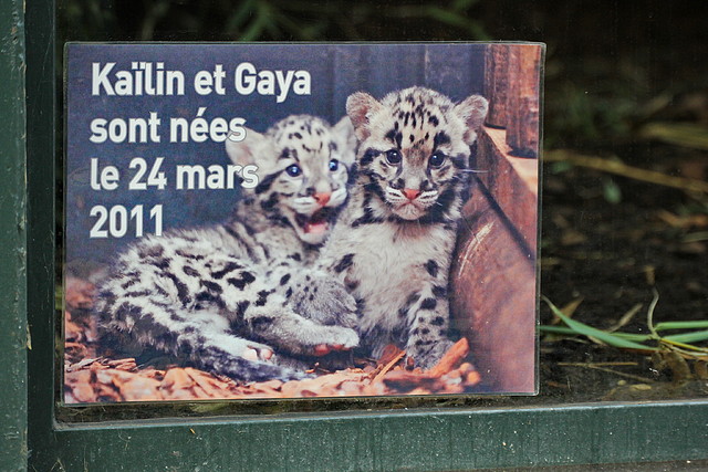 Jardin des plantes 29-10-11 (61) Jardin des plantes 29-10-11 (61)