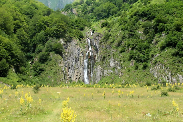 IMG_7667 IMG_7667