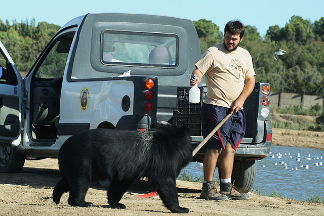 Zoo Lunaret + Sigean 18 i 19-09-10 2595 Zoo Lunaret + Sigean 18 i 19-09-10 2595