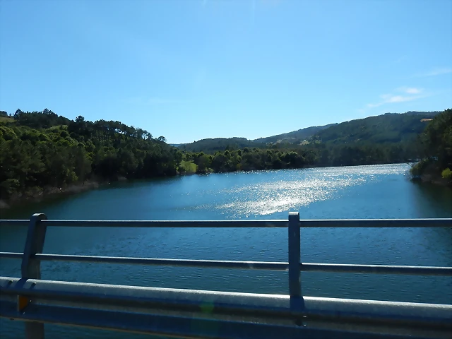 DSCN9595 DSCN9595