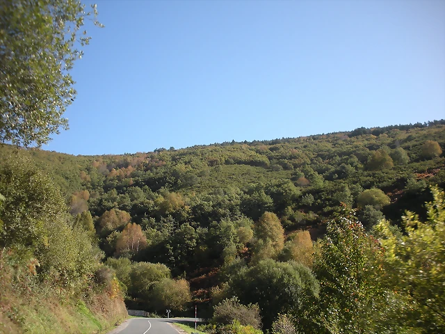 DSCN0042 DSCN0042