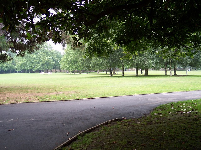 Image00004 Image00004