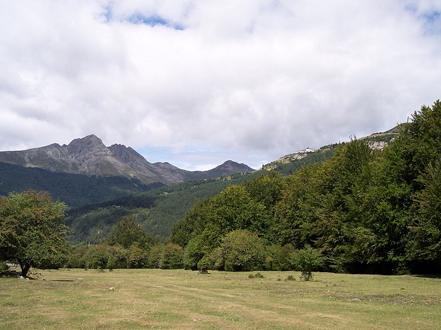 Image00006