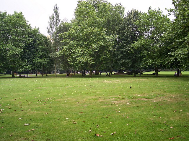 Image00005 Image00005