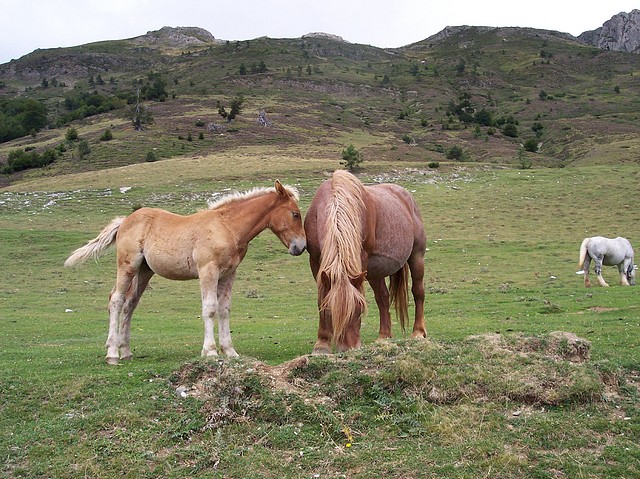 Image00007 Image00007