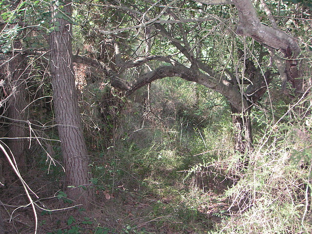 Sueras 023 Sueras 023