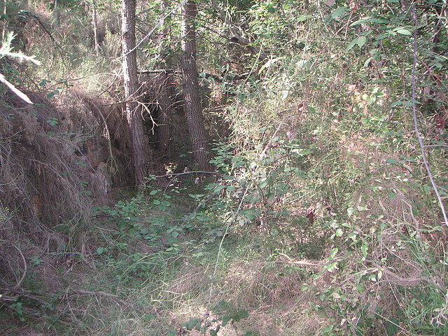 Sueras 022 Sueras 022