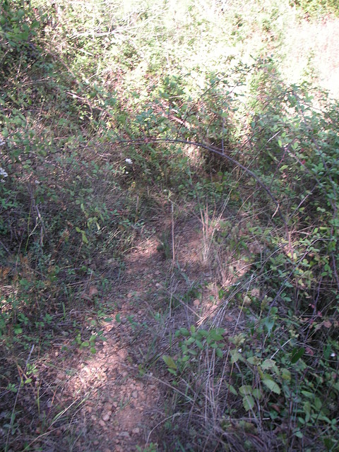 Sueras 027 Sueras 027