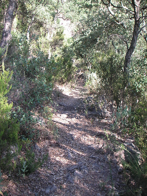 Sueras 002