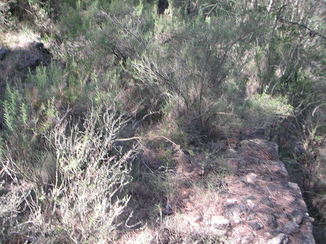 Sueras 024 Sueras 024