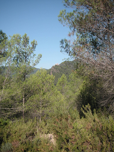 Sueras 013 Sueras 013