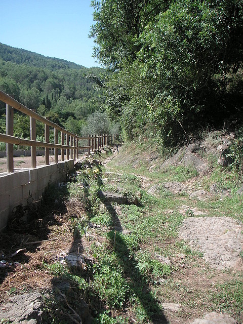 Sueras 035 Sueras 035
