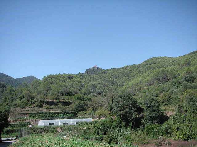 Sueras 034 Sueras 034