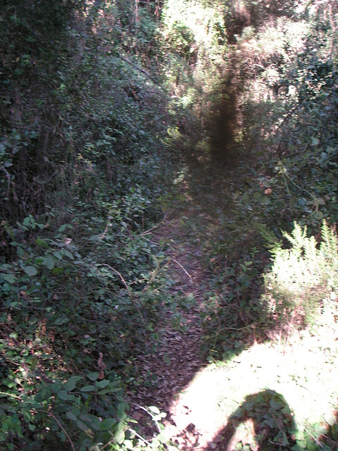 Sueras 009