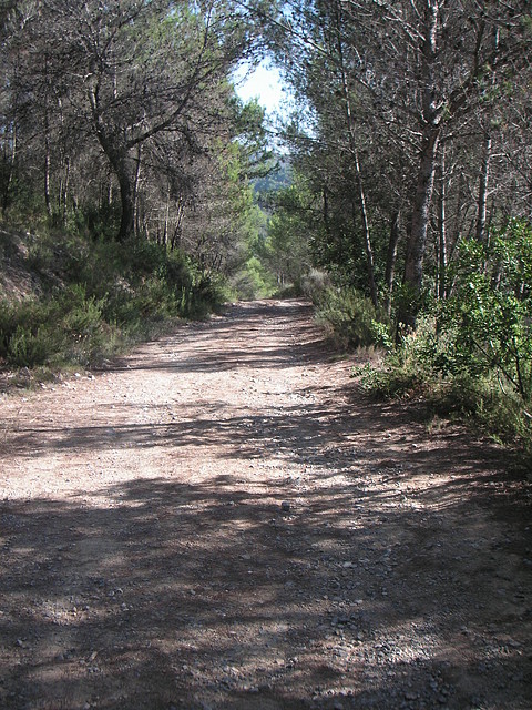 Sueras 014 Sueras 014