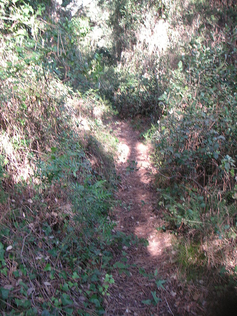 Sueras 008