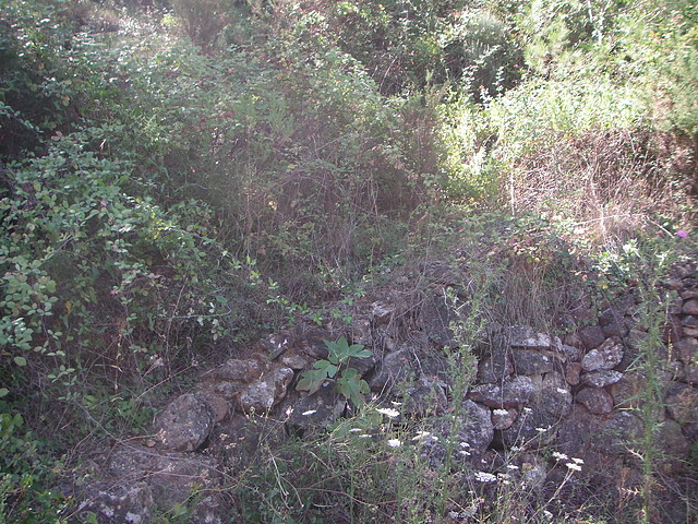 Sueras 028 Sueras 028