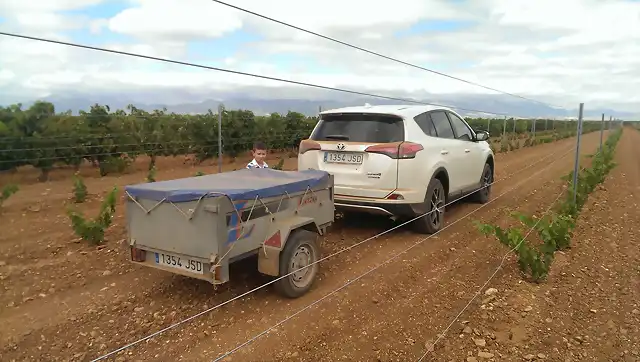 Carrito CRV