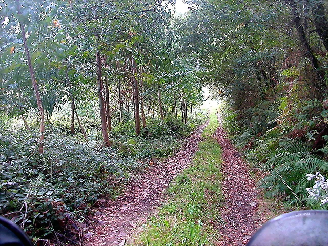 DSCN5283 DSCN5283