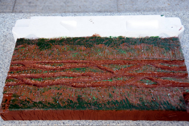 DSC_0459 DSC_0459