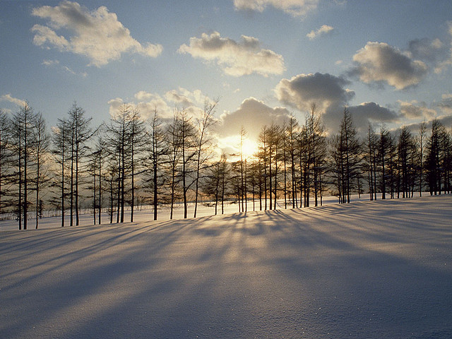 Snow_Scenery_03