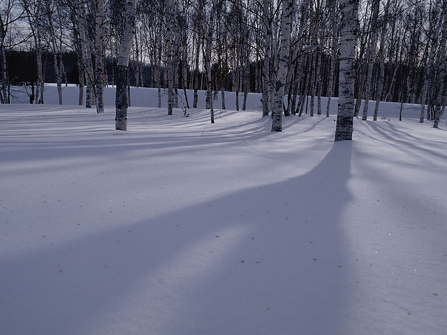 Snow_Scenery_07