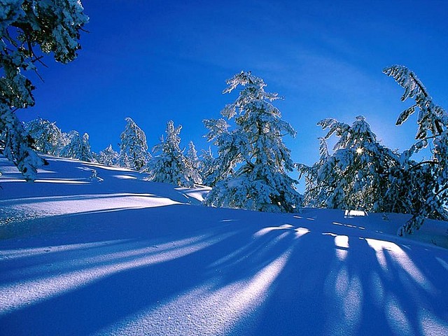Snow_Scenery_01