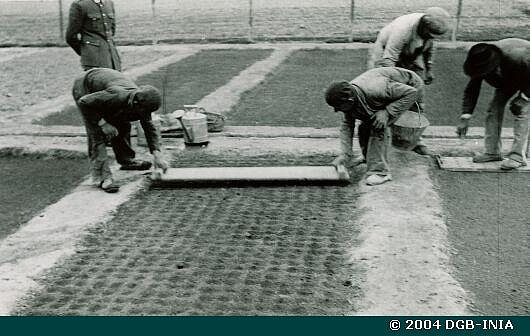 MU-0460 Labores de siembra en el vivero forestal de Cartagena. Afirmado del estiercol en los hoyos 1948
