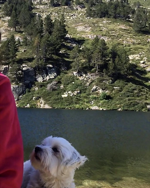 Hugo IG 25-6-2018 (4) Hugo IG 25-6-2018 (4)