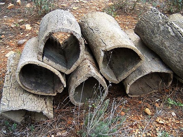 Corchos abandonados.