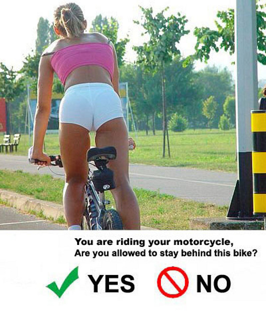 Girl-on-bike Girl-on-bike