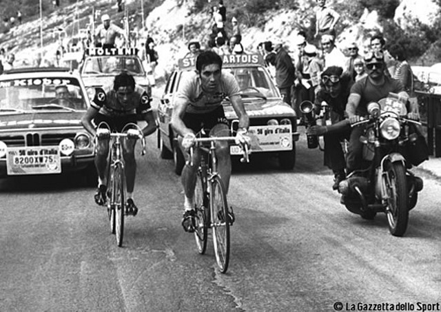 GIRO73 MERCHKX,