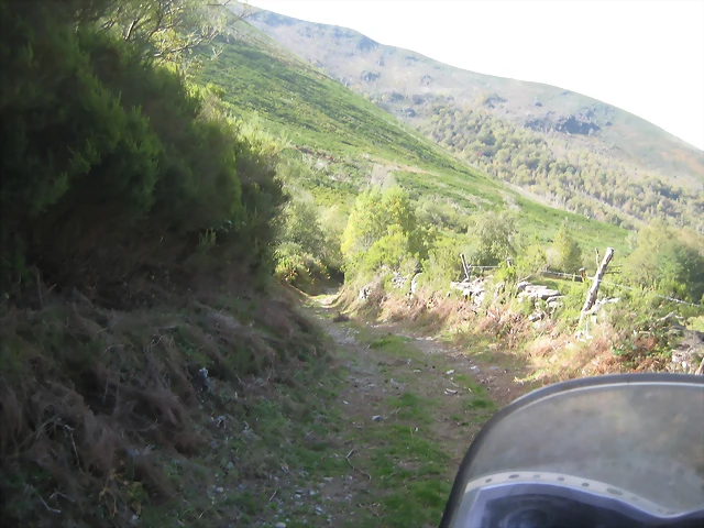 IMG_0462 IMG_0462