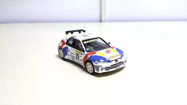 Peugeot 306 Maxi Henny 6