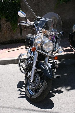 IMG_5001_389x583 IMG_5001_389x583